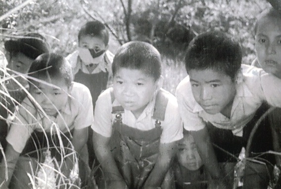 その後の蜂の巣の子供たち（85分／デジタル）