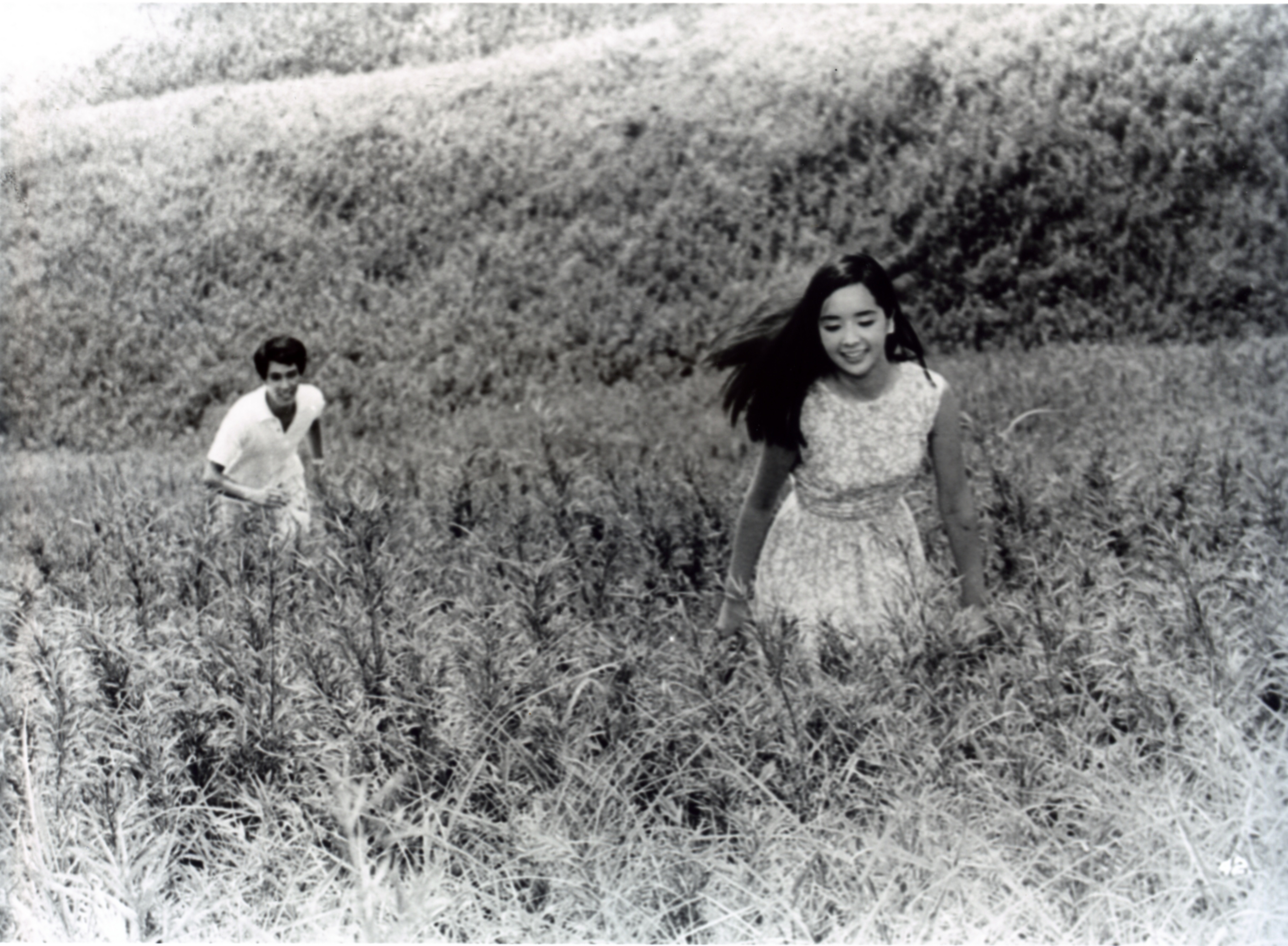 あこがれ（85分／35mm）